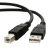 Cabo USB Impressora 5M GV Brasil